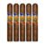 PACK OF 5