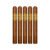 PACK OF 5