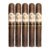 PACK OF 5