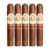 PACK OF 5