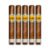 PACK OF 5
