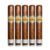 PACK OF 5