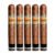 PACK OF 5