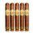 PACK OF 5