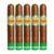PACK OF 5