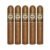 PACK OF 5