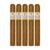 PACK OF 5
