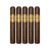 PACK OF 5