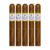 PACK OF 5