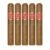 PACK OF 5