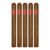 PACK OF 5