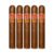 PACK OF 5