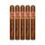 PACK OF 5