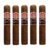 PACK OF 5