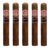 PACK OF 5