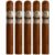 PACK OF 5