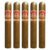 PACK OF 5
