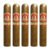 PACK OF 5
