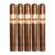 PACK OF 5