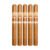PACK OF 5