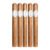 PACK OF 5