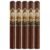 PACK OF 5