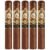PACK OF 5