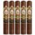 PACK OF 5