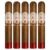 PACK OF 5