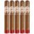 PACK OF 5