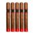 PACK OF 5