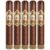 PACK OF 5