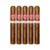 PACK OF 5
