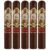 PACK OF 5