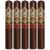 PACK OF 5
