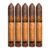 PACK OF 5