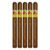 PACK OF 5