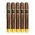 PACK OF 5