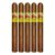 PACK OF 5