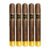 PACK OF 5
