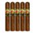 PACK OF 5