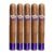 PACK OF 5