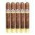 PACK OF 5
