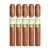 PACK OF 5