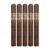 PACK OF 5