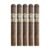 PACK OF 5