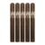 PACK OF 5