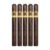 PACK OF 5
