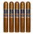 PACK OF 5