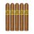 PACK OF 5